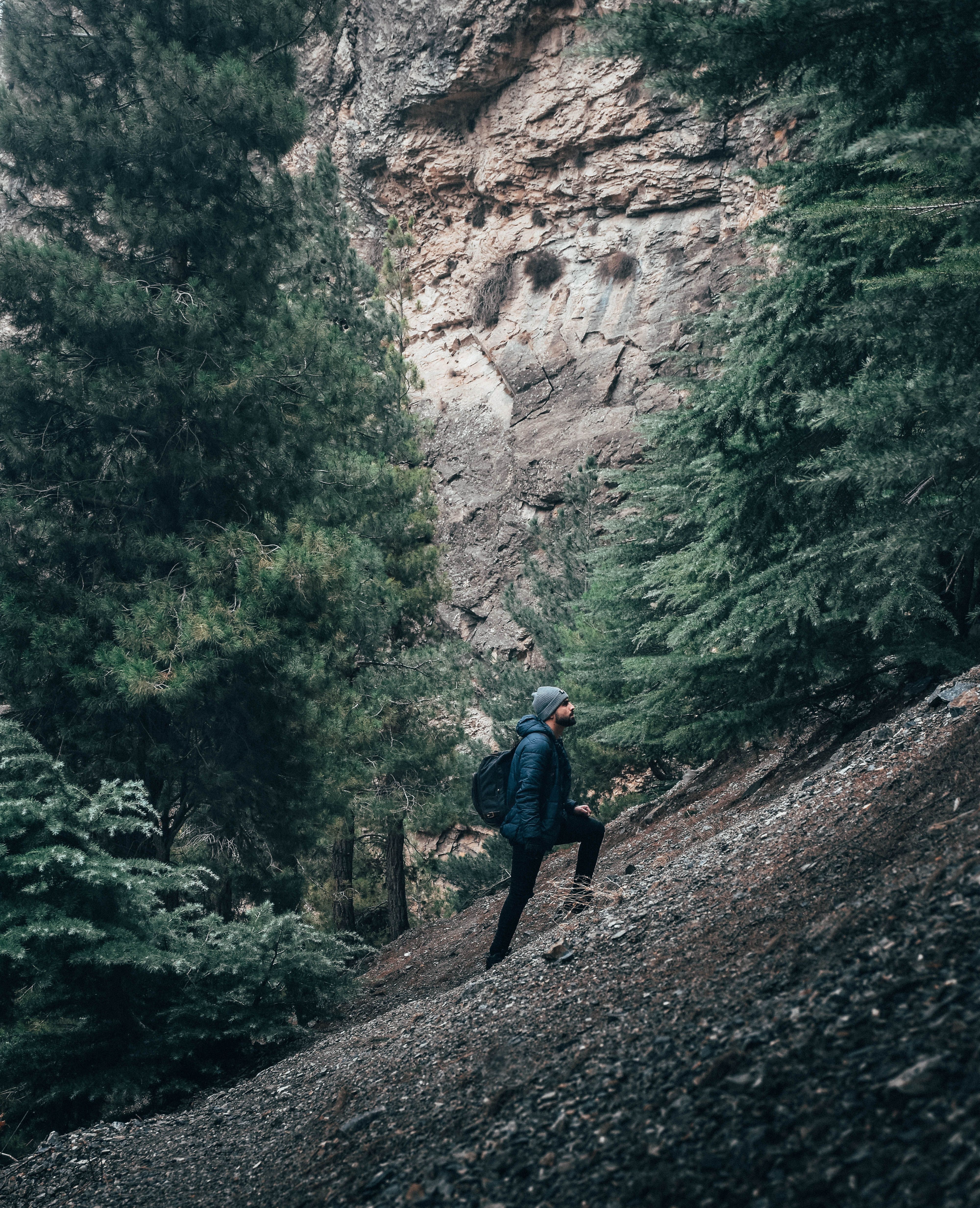 A hiker exploring a forest trail